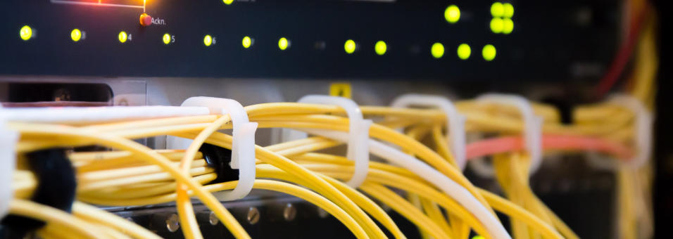Synology or Qnap or Windows Server